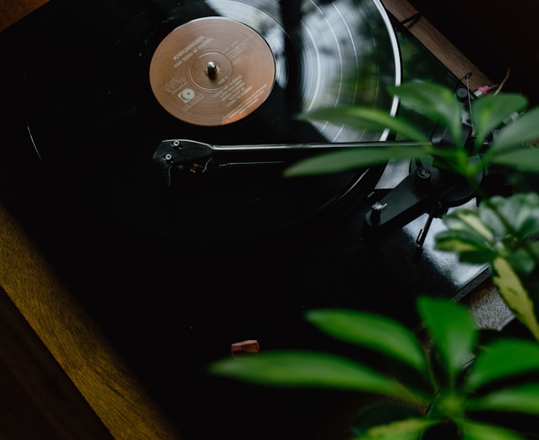 Vinyl